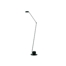 Load image into Gallery viewer, Daphine Floor Lamp